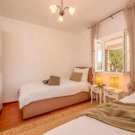 Matija 罗戈兹尼察